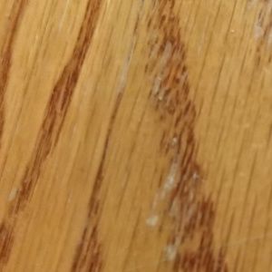 Meet your Posher, Josh